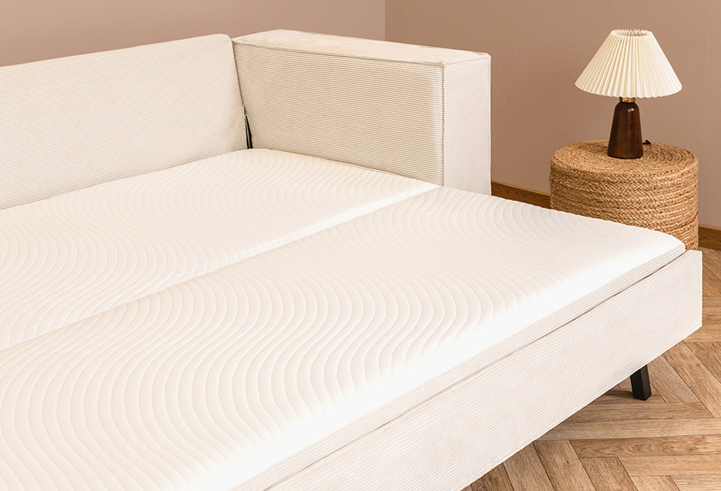 Crèmekleurige ribstof,Breed