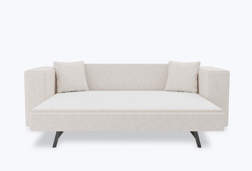 Crèmekleurige ribstof,Breed